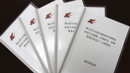 交通監(jiān)理公司團委深入開展學(xué)習(xí)新思想，爭做扛責(zé)擔(dān)當(dāng)優(yōu)秀青年員工活動