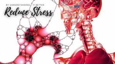 The Effects Of Stress