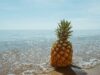 The Health Benefits of Pineapple: A Tropical Delight for Your Well-being